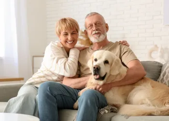Emeklilik Sonrası Yaşama Uyum ve Kimlik Değişimi